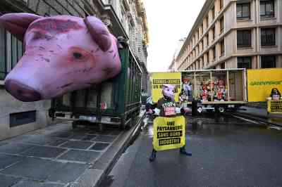 Greenpeace activists demonstrate against the ecological effects of industrialised farming at the ministry of agriculture in Paris