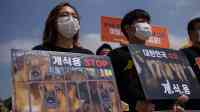 South Korean presidential hopeful draws anger with dog meat comments