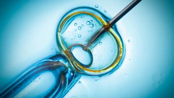 Three per cent of children in the Canadian study were conceived through fertility treatments such as IVF or artificial insemination