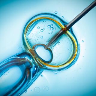 Three per cent of children in the Canadian study were conceived through fertility treatments such as IVF or artificial insemination